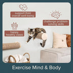 Wall-Mounted Cat Perch & Scratching Post (Modern Cat Wall Furniture) - Milestone | FurHaven Ascentials
