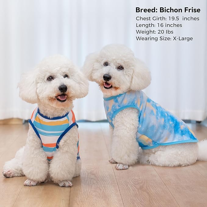 cyeollo 2pack Dog Cooling Shirt, Breathable Sleeveless Summer Clothes for Dogs, Intant Cool Dog T Shirts for Small Dogs, Blue Sky XL
