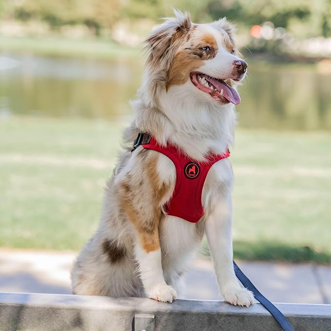 Gooby Escape Free Sport Harness - Pink, Small - No Choke Step-in Patented Neoprene Dog Harness with Four-Point Adjustment for Small to Medium Dogs