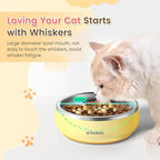 Pawaii Small Dog Bowls, 12 oz. Food Water Bowl Designed for Puppies and Cats with Non-Slip Rubber Base, Upgraded Metal Insulated, Double Stainless Steel Bowls, Cheese Yellow