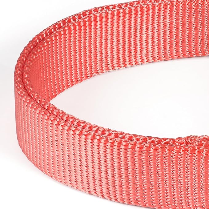 Premium Nylon Adjustable Anti-Escape Martingale Dog Collar,Soft,Silky Dog Collar with Heavy Duty Metal Hardware for Active Dogs Walking,Training. (Living Coral, Small)
