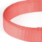 Premium Nylon Adjustable Anti-Escape Martingale Dog Collar,Soft,Silky Dog Collar with Heavy Duty Metal Hardware for Active Dogs Walking,Training. (Living Coral, Small)