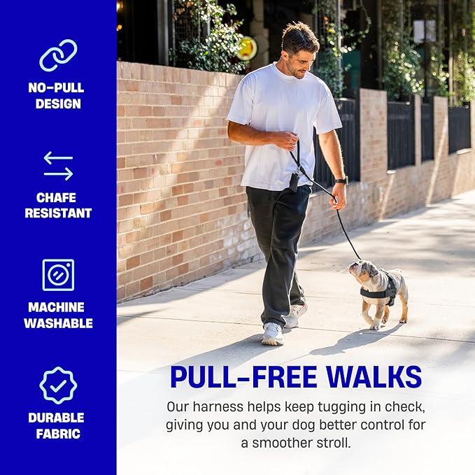 Dog Harness by Dog Friendly Co.