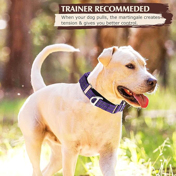 Martingale Collar for Dogs - Reflective Nylon with Padded Comfort & Quick Release Buckle - No Slip Choke Heavy Duty Collar for Safe Training, Walking & Nighttime Use Purple L
