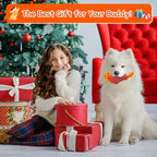 WinTour Tough Dog Toys for Aggressive Chewers, Dog Chew Toys for Large Dogs, Turkey Indestructible Squeaky Dogs Toy to Keep Them Busy