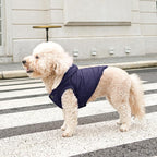 Fleece Lining Extra Warm Dog Hoodie in Winter for Large Dogs Jacket Pet Coats with Hooded,Blue XXXL