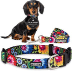 Lucky Love Dog - Easy Click Buckle Dog Collar with Leash Set Combo, Durable & Comfortable for Male & Female Dogs, Pet Collar for Small Dogs, Secure Fit - Blackbird Combo, X-Small
