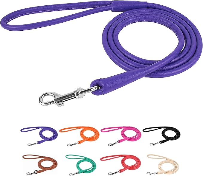 CollarDirect Rolled Leather Dog Leash, 4ft & 6ft, Soft Padded, Small to Large Dogs, Black, Blue, Red, Orange, Green, Brown, Pink, Yellow, Purple, White, Beige