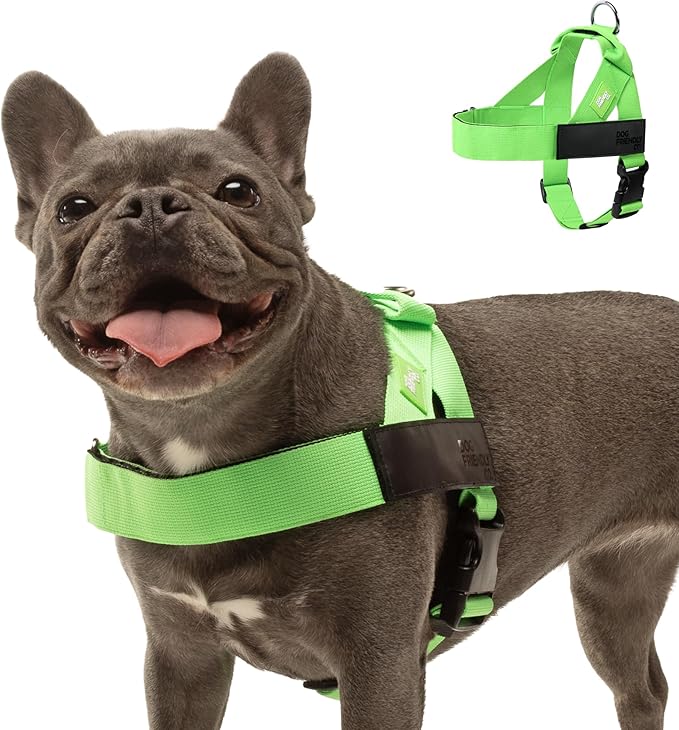 DF Co. Dog Harness | Chafe Resistant Webbing, Adjustable Neck & Chest, and Heavy Duty D-Ring | Sturdy, Comfortable, Easy to Use | Neon Green, Size L