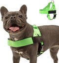 DF Co. Dog Harness | Chafe Resistant Webbing, Adjustable Neck & Chest, and Heavy Duty D-Ring | Sturdy, Comfortable, Easy to Use | Neon Green, Size XXS
