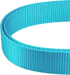 Mikivery Martingale Dog Collar Nylon Adjustable and Safety Training Colourful Comfortable Metal Buckle Pet Collars for Small Medium and Large Dogs(Ice Blue,M)