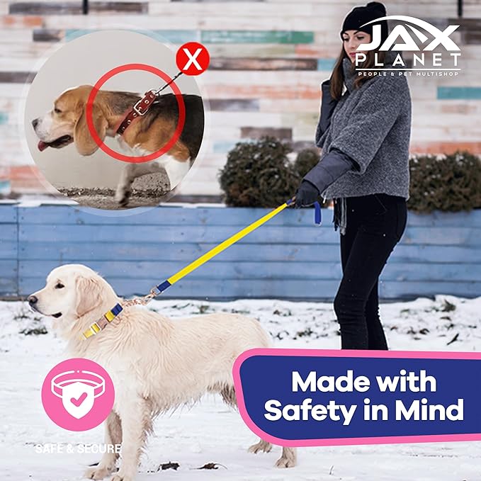 Jelly Waterproof Martingale Dog Collar, No Pull Nylon Collar with Alloy Metal Buckle & D-Ring for Outdoor Training and Walking, Anti Pull, Escape Free, One Time Adjustment- Yellow & Blue, M