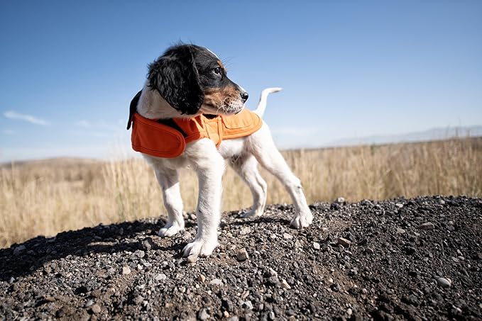 Carhartt Firm Duck Insulated Dog Chore Coat, Durable Weather Resistant Coat for Cold and Windy Conditions, Contains PFAS (Hunter Orange), Medium