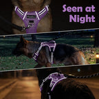 Funfox Dog Harness No Pull, Adjustable Pet Vest Harness, Super Soft Material with Vertical Handle Easy Control, Reflective Night Walking, 2 Leash Clips for Medium Sized Dogs, Purple, M