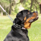 Herm Sprenger Chrome Plated Steel Dog Collar with Quick Release ClicLock Buckle O-Ring Biothane Insert Training Collar Made in Germany (Pastel Purple, 25in x 4.0mm(Neck Size up to21-22in))