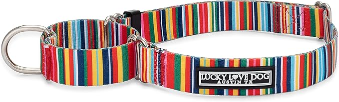 Lucky Love Dog Martingale Dog Collar - Adjustable, No-Slip, Durable, & Soft Webbing Collar for Male and Female Dogs Ideal for Training & Walking - Hippie, Large