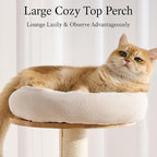 797Audio Wood Modern Cat Tree, 61.5" Tall Cat Tower with Sisal Scratching Posts, Cat Condo, Capsule and Ladder, Solid Wooden Aesthetic Multi-Level Cat Climbing Tree for Large Adult Indoor Cats