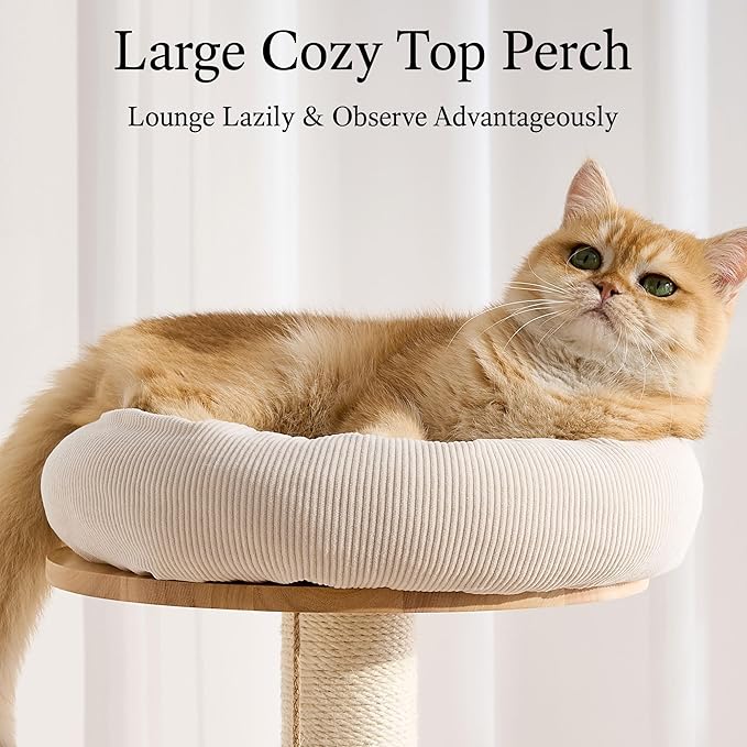 797Audio Wood Modern Cat Tree, 61.5" Tall Cat Tower with Sisal Scratching Posts, Cat Condo, Capsule and Ladder, Solid Wooden Aesthetic Multi-Level Cat Climbing Tree for Large Adult Indoor Cats