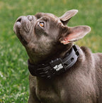 Tuff Pupper Heavy Duty Tactical Dog Collar | 1.25" Wide Ballistic Nylon | Reflective Stitching | Integrated ID Tag Holder | Stainless Steel Buckle | Padded Lining | Small & Medium Dogs (Black, Small)