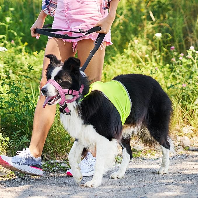 Weesiber No-Pull Dog Head Halter - Adjustable Dog Muzzle Leash, Padded Head Collar for Dogs to Prevent Heavy Pulling On The Leash(Pink,S)