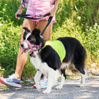 Weesiber No-Pull Dog Head Halter - Adjustable Dog Muzzle Leash, Padded Head Collar for Dogs to Prevent Heavy Pulling On The Leash(Pink,S)
