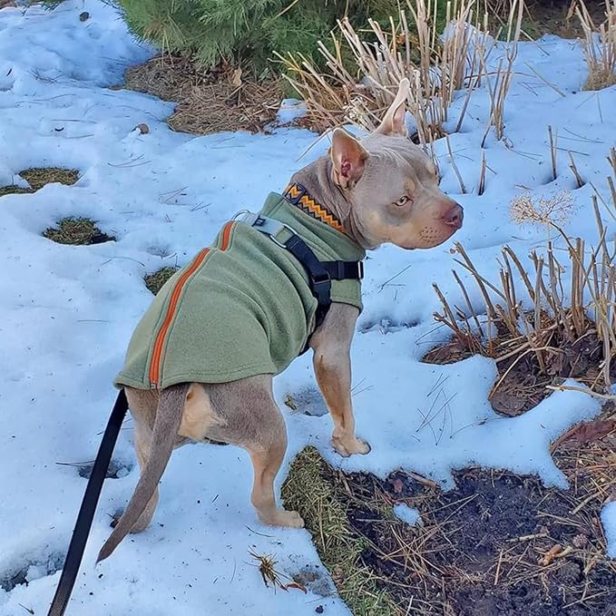 Gooby Zip Up Microfiber Fleece Dog Sweater - Green, Large - Warm Double Layered Soft Fleece Step-in Jacket Without Ring Leash - Winter Sweater for Small & Medium Dogs