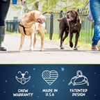 2 Hounds Design Freedom No Pull Dog Harness, Adjustable Harness and Leash Set, Easy Walking & Comfortable Control, Fits Small, Medium & Large Dogs, Solid Colors, Made in USA, 5/8" SM, Star Sprangled