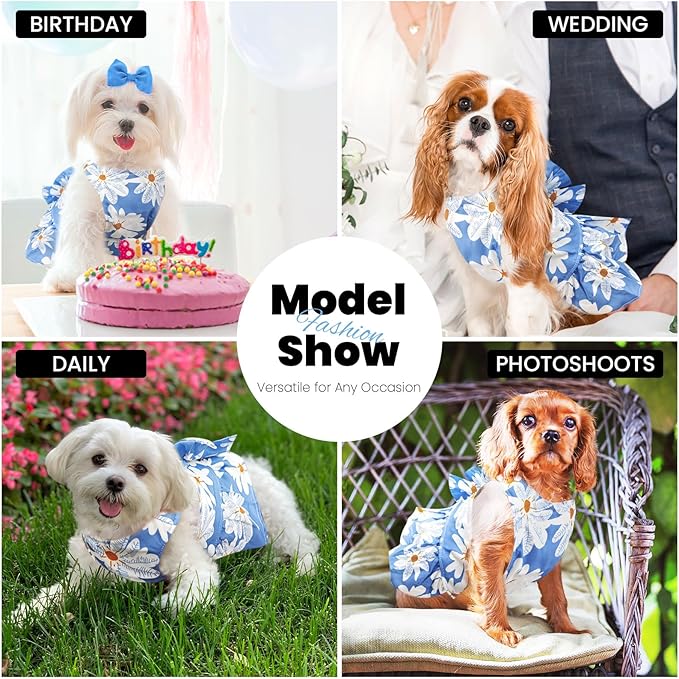 Cute Dog Dress Small Dog Clothes for Girls Female Puppy Outfits Blue Daisy Pet Summer Clothes Bowknot Doggy Cat Princess Dress Harness Set for Holiday Birthday Party Costume Clothing (Blue,M)