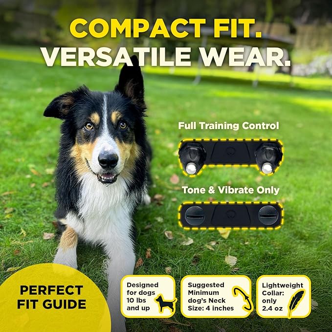 Dogtra 200iQ Remote Training E Collar – 100 Levels, Tone, Vibration, 1/2 Mile Range – Compact, Waterproof, One-Handed Control for Dogs 10 lbs+ – Lightweight Design for Daily Training – Teal
