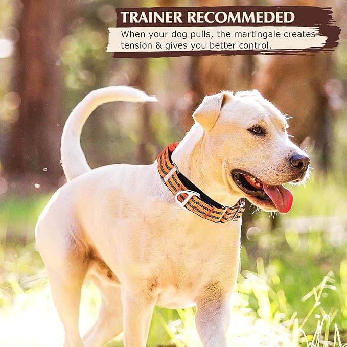 Martingale Collar for Dogs -Reflective Nylon No Slip Choke with Padded Comfort Heavy Duty Dog Collar with Quick Release Buckle for Training, Walking & Overexcited Pulling Orange M