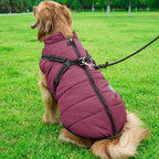 Aiboria Dog Jackets Coat for Winter Windproof Waterproof Skiing Dog Vest Fleece Warm Chest Strap Belt Purple L