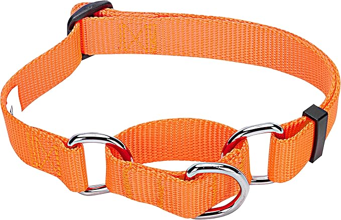 Blueberry Pet Essentials Martingale Safety Training Dog Collar, Florence Orange, Small, Heavy Duty Nylon Adjustable Collars for Dogs