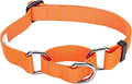 Blueberry Pet Essentials Martingale Safety Training Dog Collar, Florence Orange, Small, Heavy Duty Nylon Adjustable Collars for Dogs
