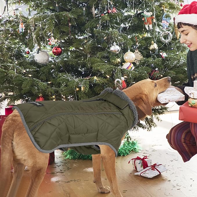 Fragralley Dog Coat Large, Waterproof Dog Jacket with Warm Fleece Lining, Adjustable Reflective Dogs Winter Coat, Turtleneck Pet Coats for Cold Weather (ArmyGreen XXL)
