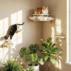 Cat Shelves for Wall, Corner Cat Wall Shelf with 3 Wide Steps, Wooden Wall Mounted Cat Shelf for Indoor Cats, 30 lb Capacity, Removable Plush Pads, Cat Climbing Perch Set for Large Cats