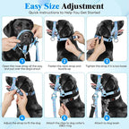 HIGO Dog Head Collar, Adjustable Head Collar for Dogs, No Pulling Head Halter, Training Nose Leash, 3 Pattern Muzzle Leash for Small Medium Large Dogs Easy Walking (Blue, L)