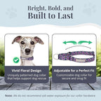 Lucky Love Dog Martingale Dog Collar & Leash - Adjustable, No-Slip, Durable, Comfortable, Soft Webbing, & Stylish Patterned Collar & Leash Set for Male and Female Dogs - Primrose Combo, Medium