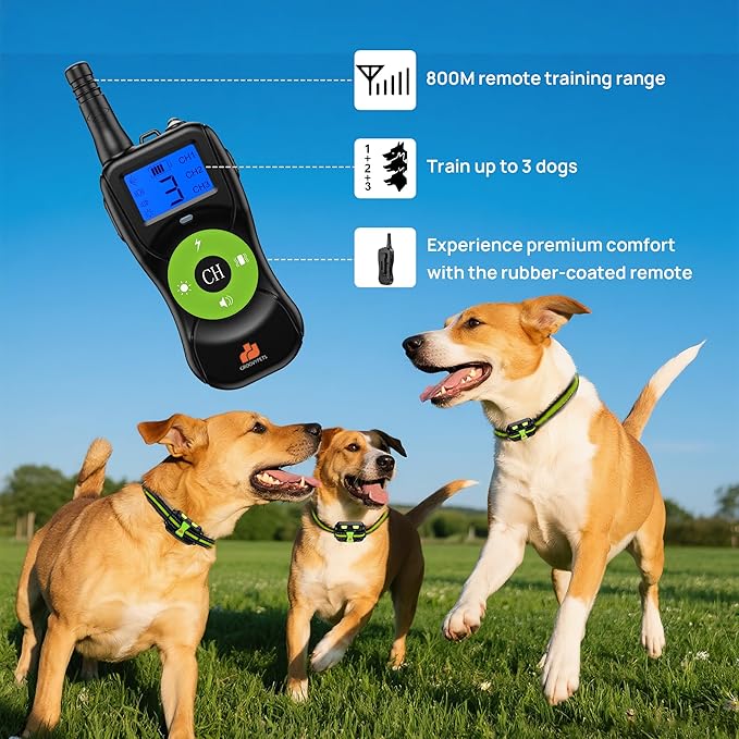 2640 Ft Remote Training Collar with Dog Locator Light, IPX7 Waterproof Rechargeable E-Collar with Humane Beep, Vibration, Static Modes, Fits 8-120lbs Dogs