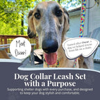 Lucky Love Dog Martingale Dog Collar & Leash - Adjustable, No-Slip, Durable, Comfortable, Soft Webbing, & Stylish Patterned Collar & Leash Set for Male and Female Dogs - Oscar Combo, Large