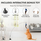 Snuggle & Play Cat Wall Shelves & Climbing System – Modern Furniture Set with 3 Steps & Perch for Indoor Cats, Includes Wand Toy