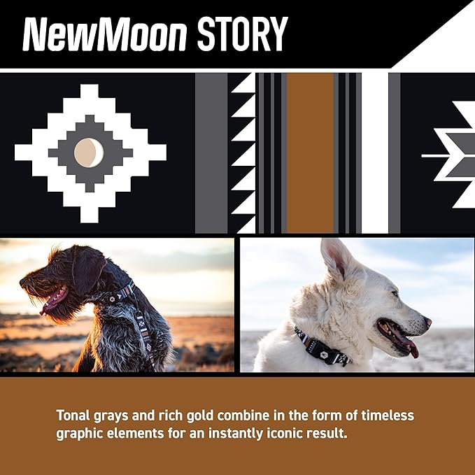 Wolfgang Heavy Duty, Adjustable Dog Collar with Quick Release Nylon Buckle for Walking & Training, NewMoon Print, Small