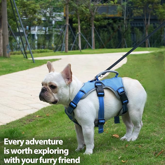 Huntboo Escape Proof Dog Harness, Escape Artist Harness, Reflective Dog Harness with Handle, Durable,Adjustable Vest for Small Medium Large Dogs Walking, Training, and Running Gear(Sea Blue,L)