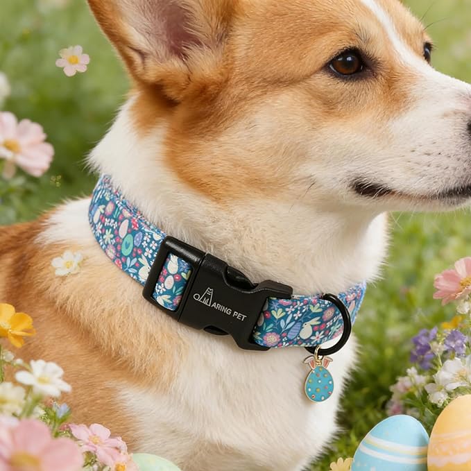 ARING PET Easter Dog Collar, Cute Blue Rabbit Bunny Egg Floral Pet Collars with Quick Release Buckle for Puppy Small Medium Large Boy Girl Dogs-S