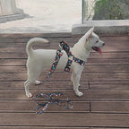 QQPETS Dog Harness Leash Set Adjustable Heavy Duty No Pull Halter Harnesses for Small Medium Large Breed Dogs Back Clip Anti-Twist Perfect for Walking