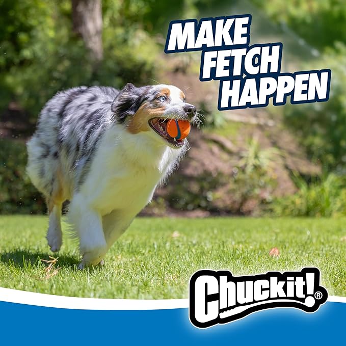 Chuckit! Ultra Ball Dog Toy - Medium Bouncy Fetch Balls for Dogs 20-60 lbs - Made from Durable Rubber - Floating Water Pet Toys - Size Medium - 2.5-inch Diameter (Pack of 4)