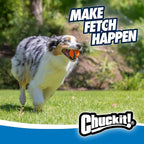 Chuckit! Ultra Ball Dog Toy - Medium Bouncy Fetch Balls for Dogs 20-60 lbs - Made from Durable Rubber - Floating Water Pet Toys - Size Medium - 2.5-inch Diameter (Pack of 4)