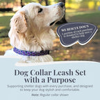 Lucky Love Dog Martingale Dog Collar & Leash - Adjustable, No-Slip, Durable, Comfortable, Soft Webbing, & Stylish Patterned Collar & Leash Set for Male and Female Dogs - Primrose Combo, Small