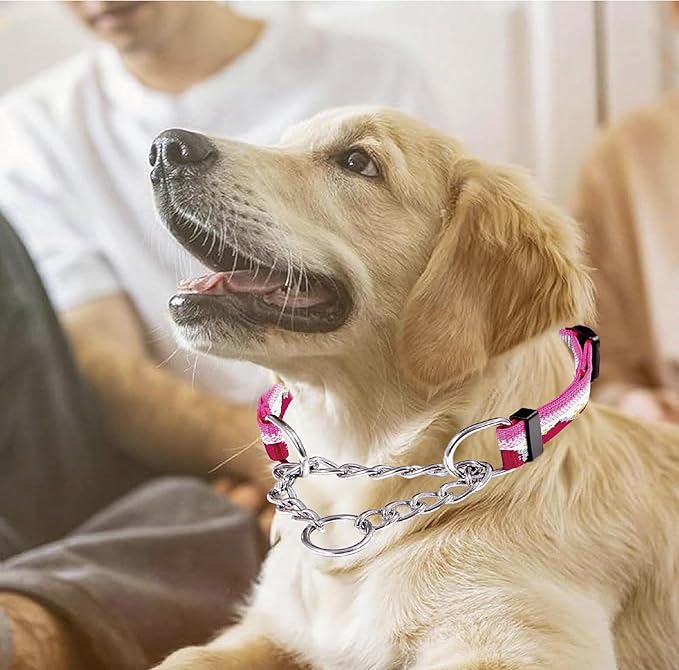 Martingale Dog Collars with Stainless Steel Chain, Reflective No Pull Walking Training Collar with Quick Release Buckle, Adjustable Slip Chain Nylon Dog Collars for Small Medium Large Dogs