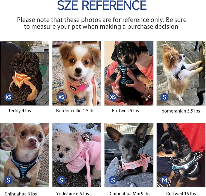Dog Harness for Small Dogs and Leash Set, Honeycomb Grid, Reflective Lightweight Harness & Anti-Twist Pet Lead Multi Color, Size: XS-S-M. (XS, Red & Blue)