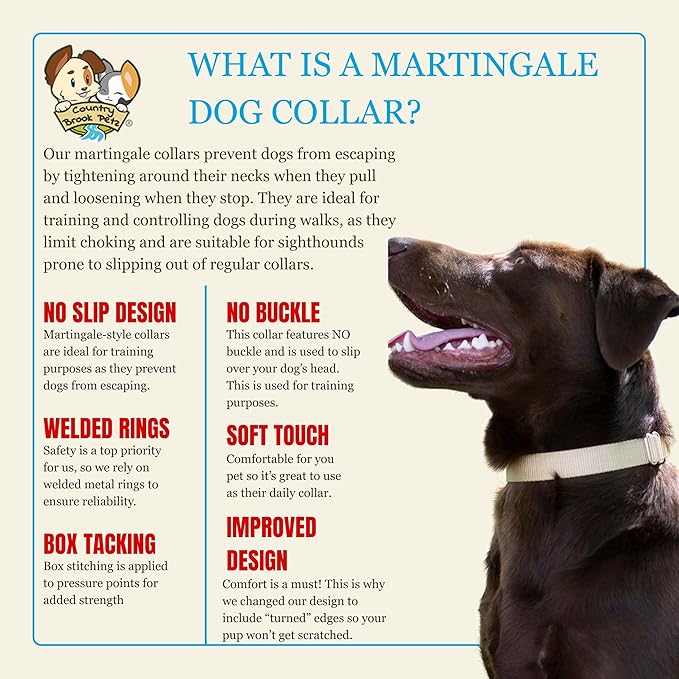 Country Brook Petz - Martingale Dog Collar - Heavy-Duty Training Collar with No Buckle - Service Dog Collar for All Pups - 10+ Warm Colors (Copper Gold, 5/8 Inch, Extra Small)